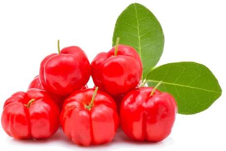 >Acerola Fruta