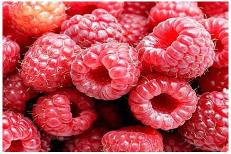 >Framboesa Fruta LA