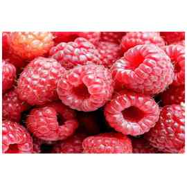 Framboesa Fruta LA